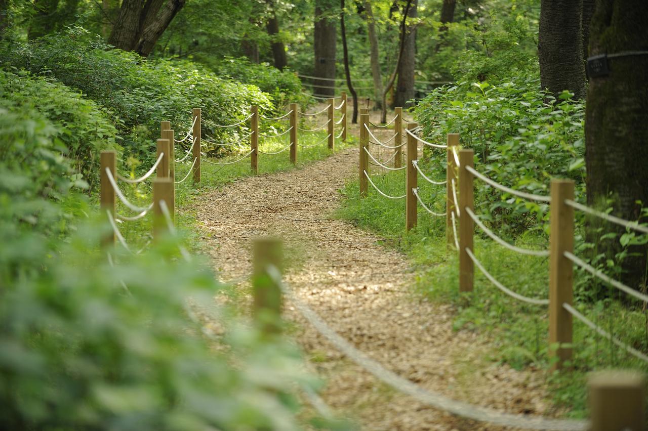 Forest Inn Showakan Akishima Ngoại thất bức ảnh
